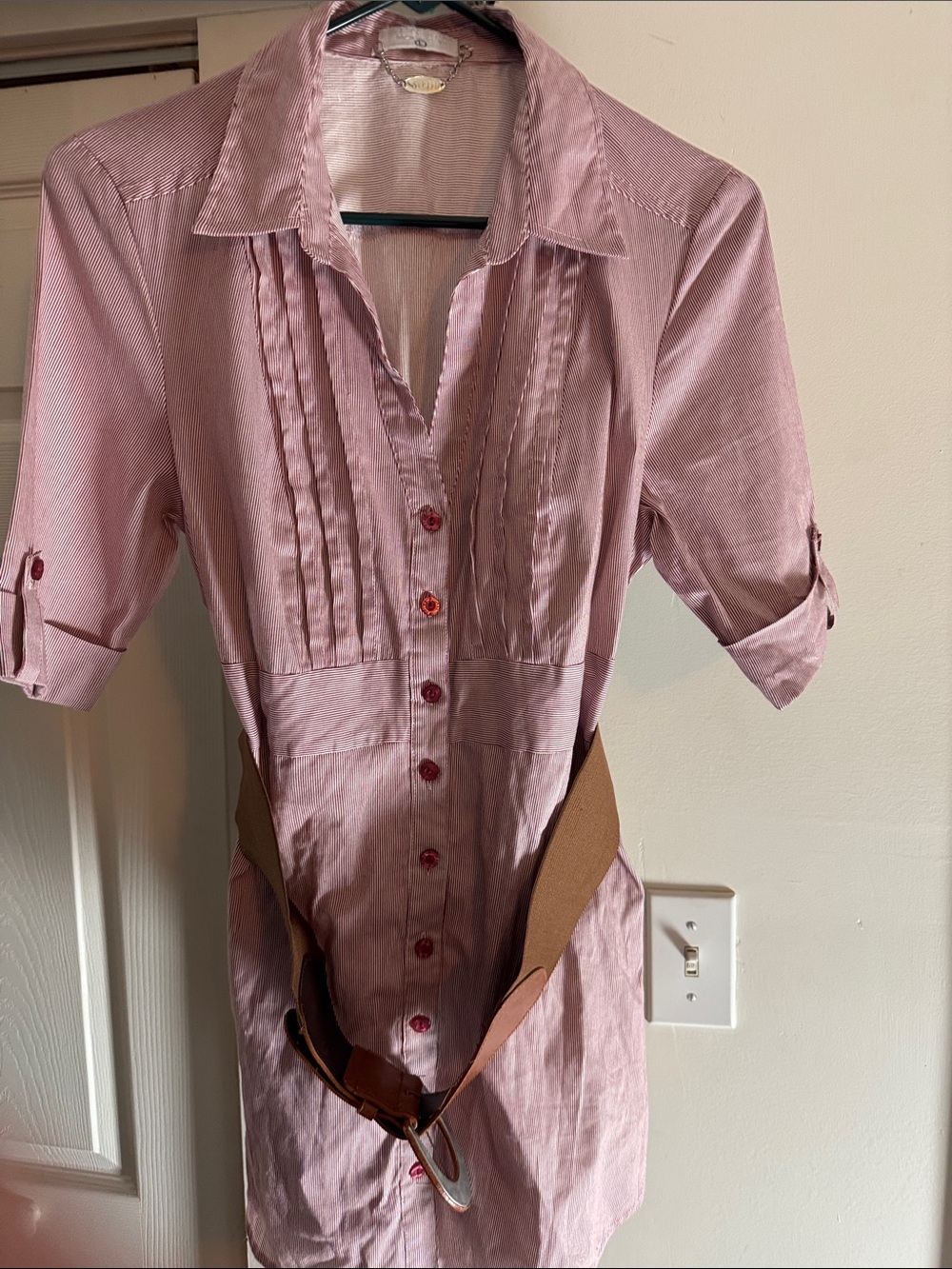 Red & White Pin Striped Button-Down Shirt Dress with Belt